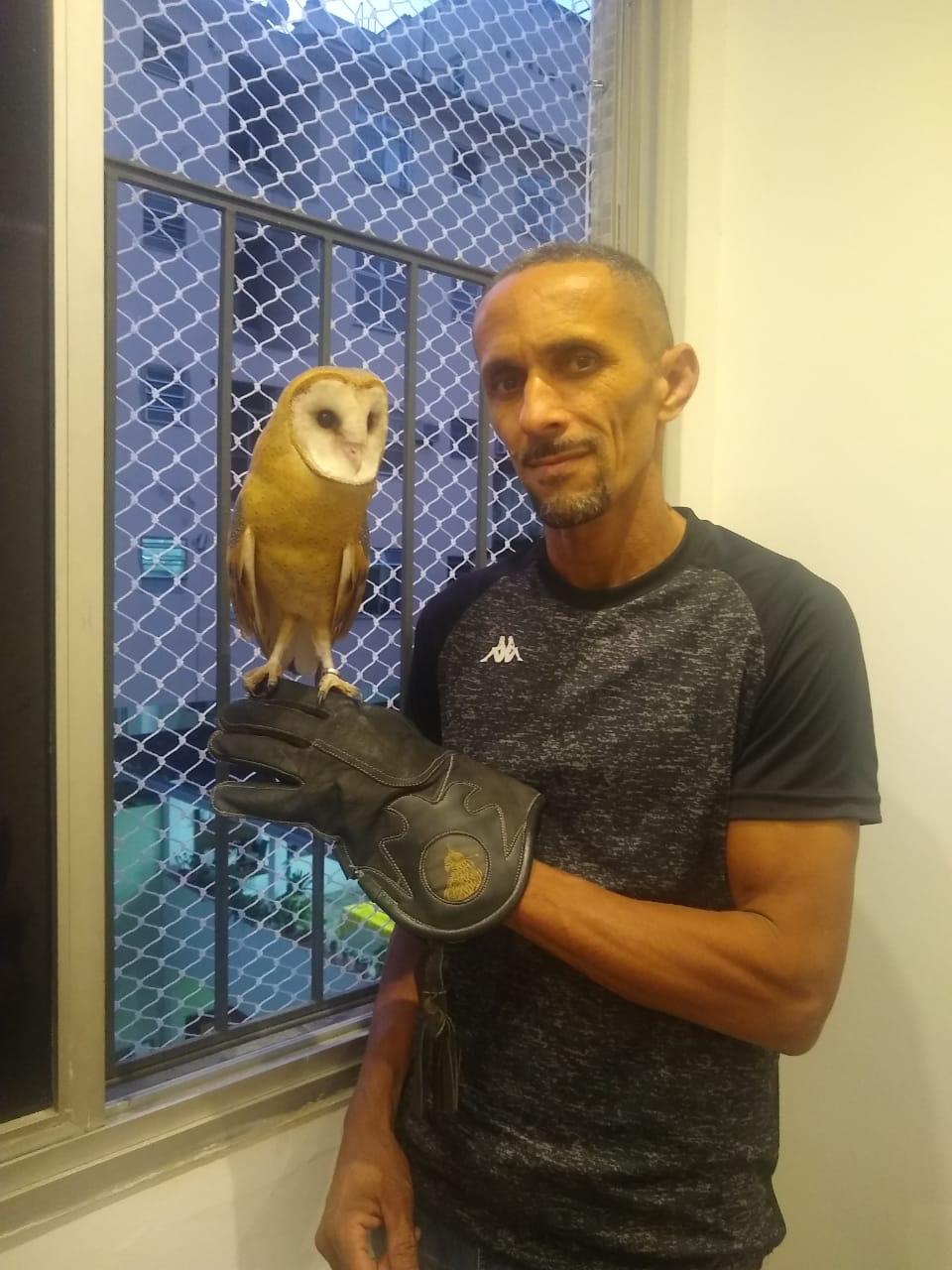 Tela de alta segurança instalada em varanda ampla integrada para pets
